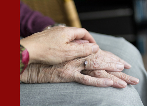 pixabay.com / sabinevanerp